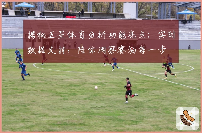 揭秘五星体育分析功能亮点：实时数据支持，陪你洞察赛场每一步