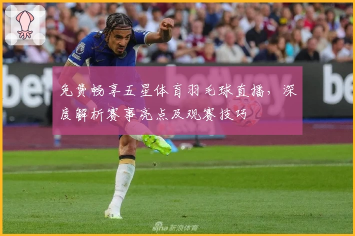 免费畅享五星体育羽毛球直播，深度解析赛事亮点及观赛技巧