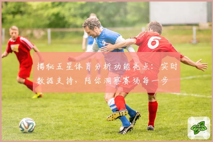 揭秘五星体育分析功能亮点：实时数据支持，陪你洞察赛场每一步