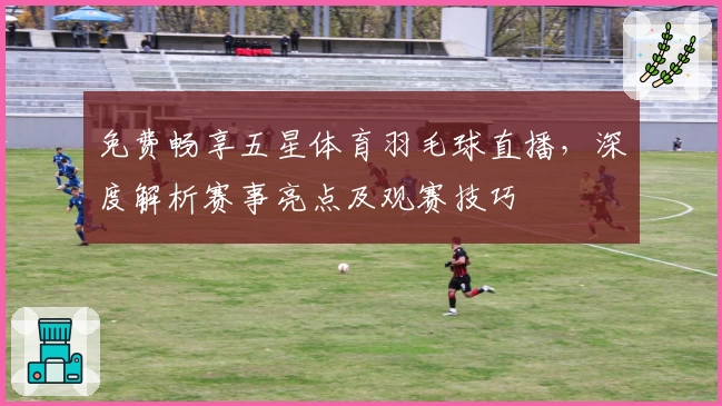 免费畅享五星体育羽毛球直播，深度解析赛事亮点及观赛技巧