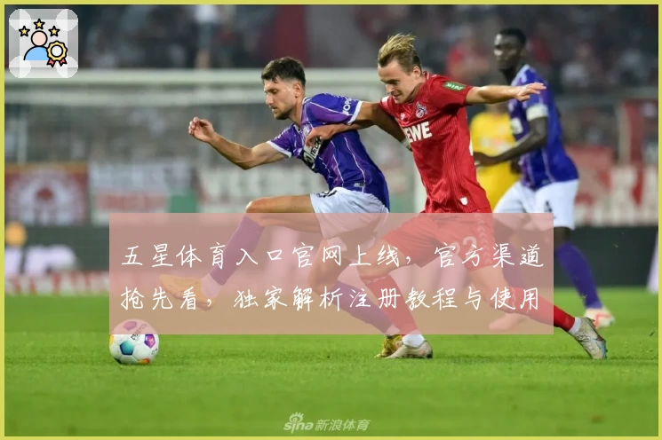 五星体育入口官网上线，官方渠道抢先看，独家解析注册教程与使用体验
