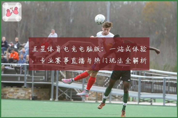 五星体育电竞电脑版：一站式体验，专业赛事直播与热门玩法全解析